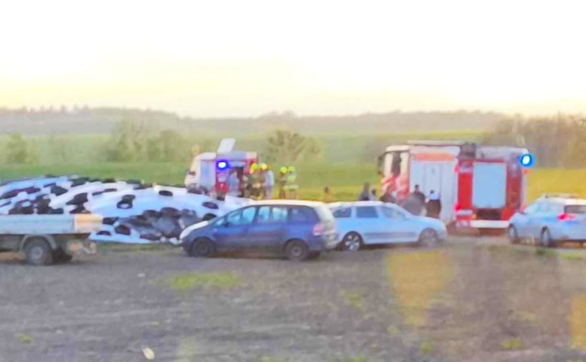 Raport 998. Powalone drzewo i dwa pożary - Serwis informacyjny z Raciborza - naszraciborz.pl