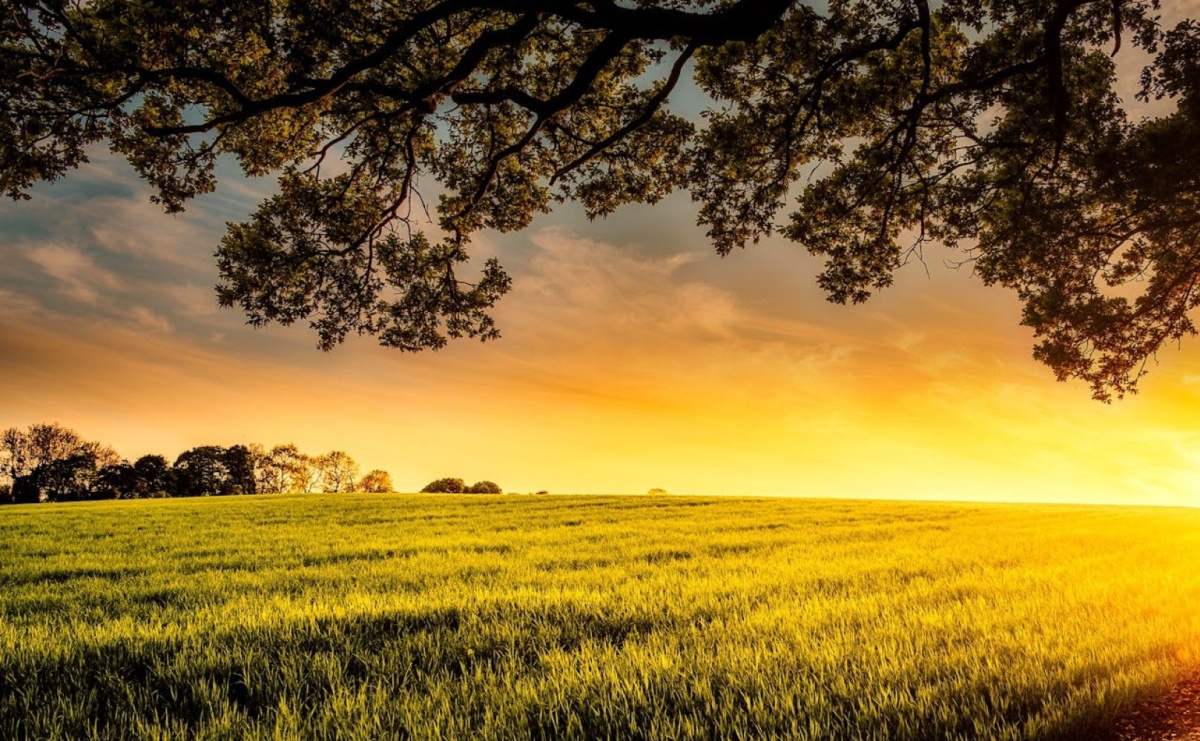 Szukasz aplikatora gnojowicy? Sprawdź maszynę Evers Agro - Serwis informacyjny z Raciborza - naszraciborz.pl