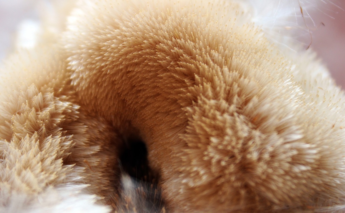 SPOJRZENIA – już wkrótce nowa wystawa w raciborskiej bibliotece - Serwis informacyjny z Raciborza - naszraciborz.pl