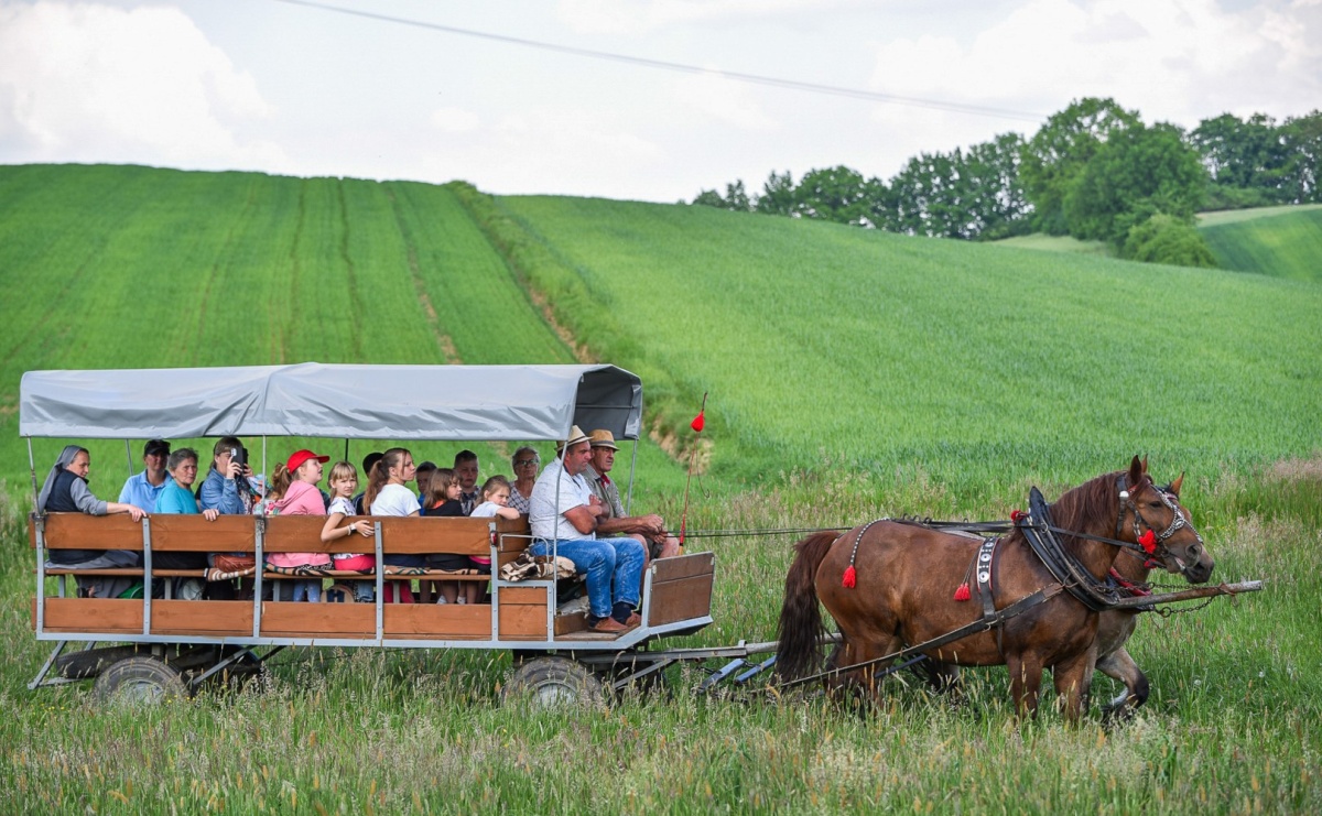 Na pamiątkę wielkiego gradobicia. 147. procesja w Pogrzebieniu [FOTO i WIDEO] - Serwis informacyjny z Raciborza - naszraciborz.pl