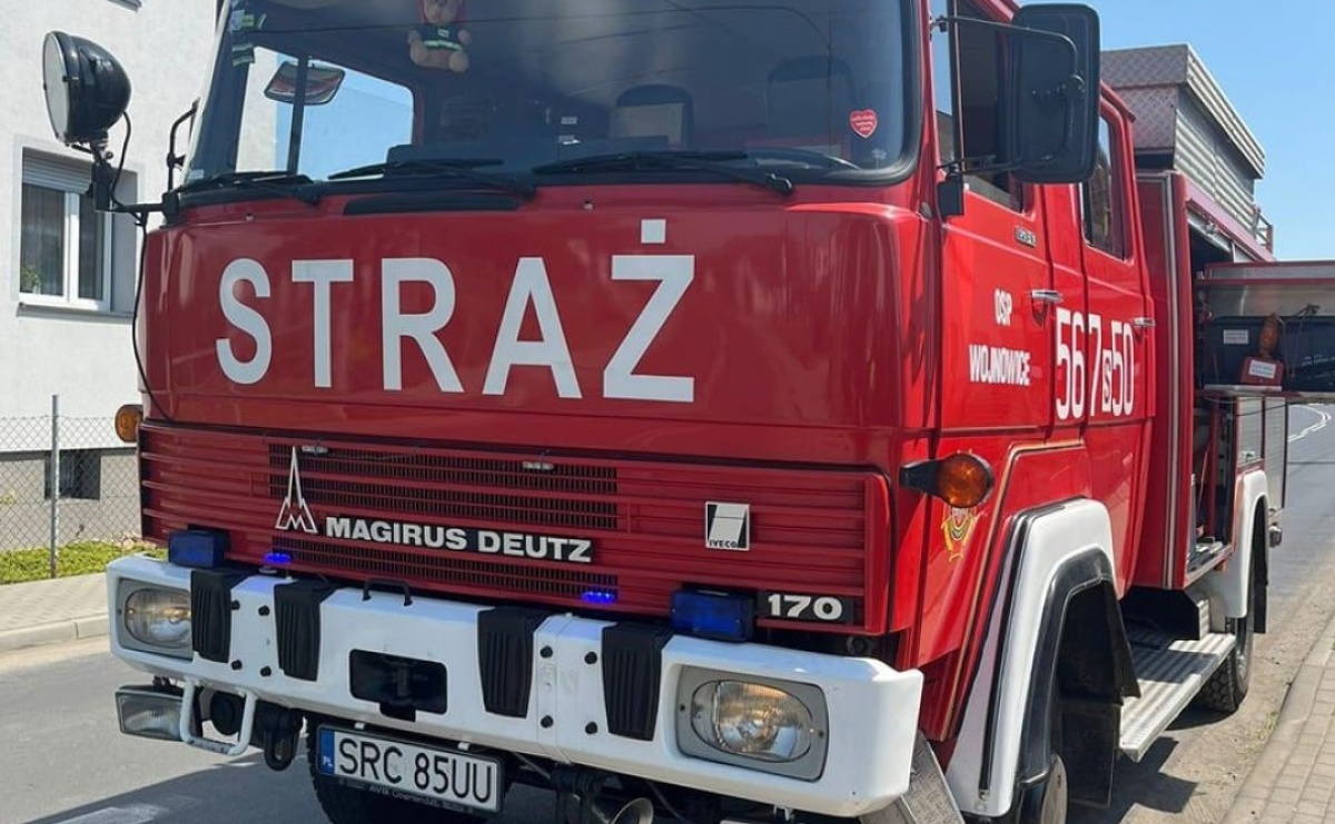 Roje pszczół w Raciborzu i Wojnowicach - Serwis informacyjny z Raciborza - naszraciborz.pl