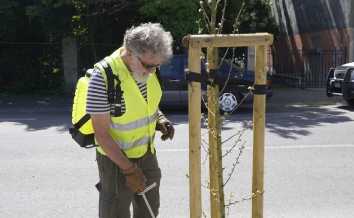 Grzyby mikoryzowe wzmocnią raciborskie głogi - Serwis informacyjny z Raciborza - naszraciborz.pl