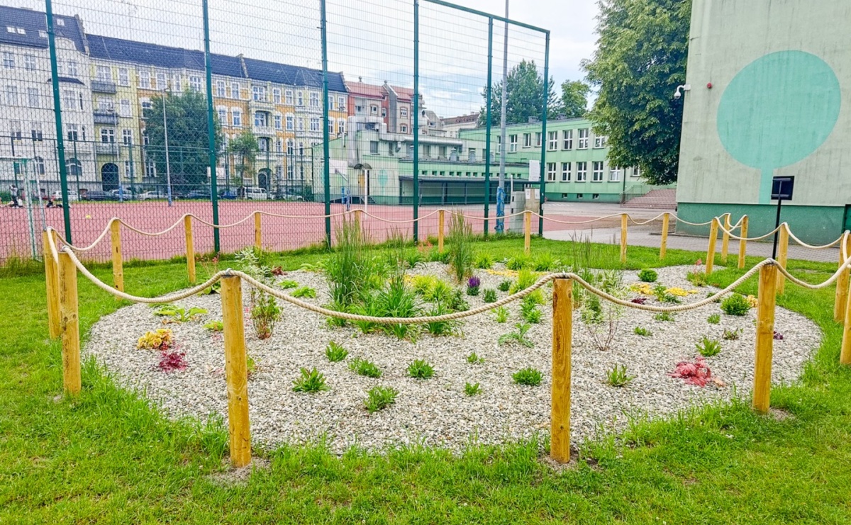 Tak zmienił się ogród deszczowy przy SP 13 - Serwis informacyjny z Raciborza - naszraciborz.pl