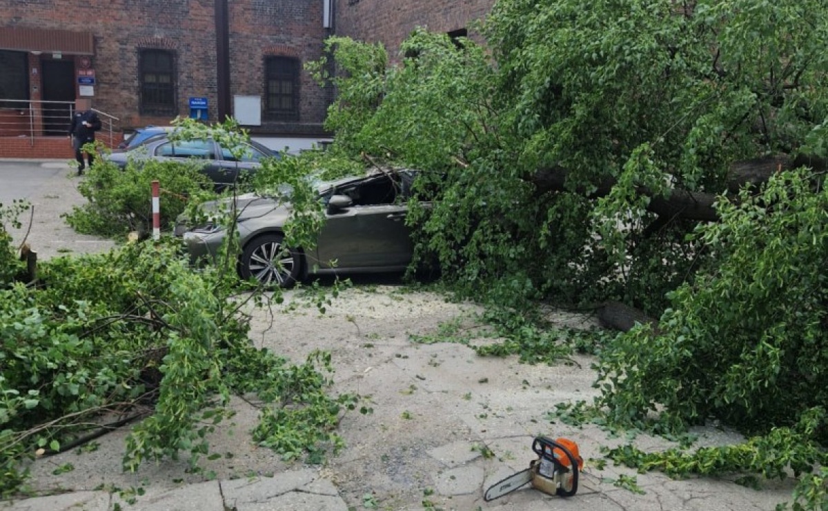 Silny wiatr spowodował straty. Drzewo runęło na samochody przy raciborskim więzieniu [FOTO] - Serwis informacyjny z Raciborza - naszraciborz.pl