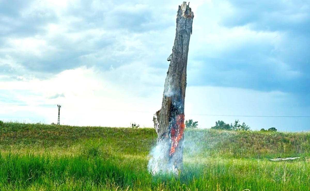 W Siedliskach zapłonął konar - Serwis informacyjny z Raciborza - naszraciborz.pl