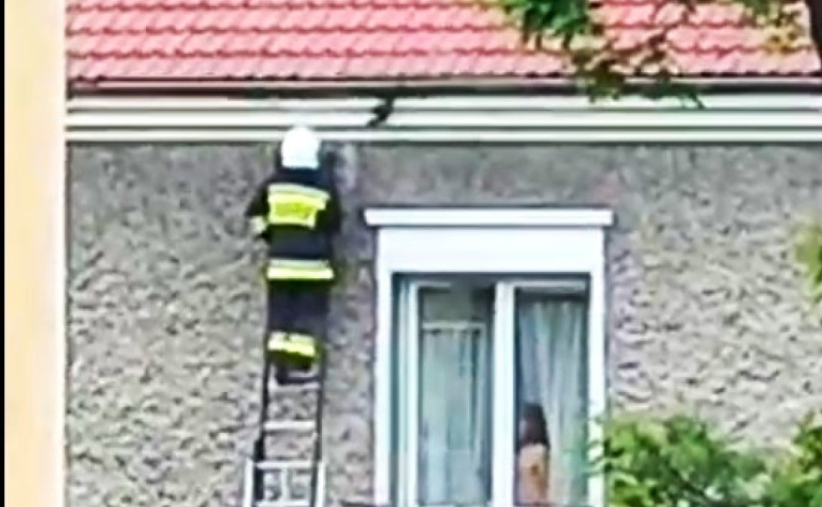 Ptak w opresji w Kuźni Raciborskiej - Serwis informacyjny z Raciborza - naszraciborz.pl