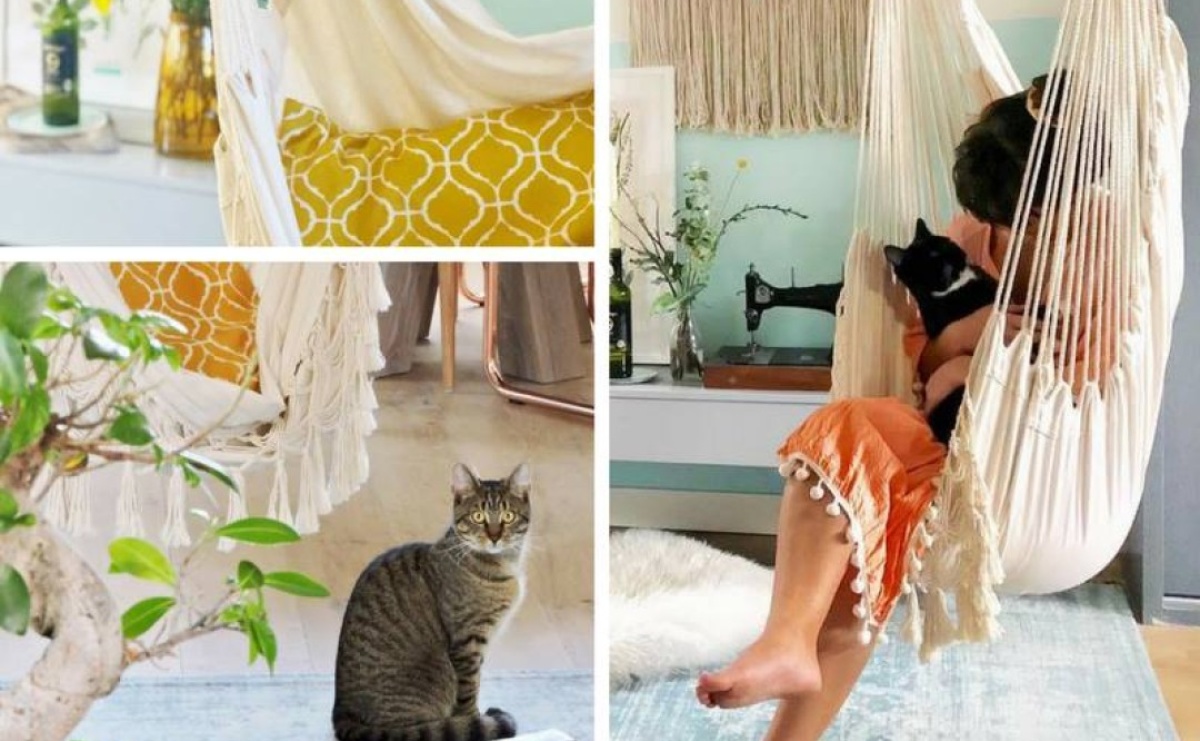 Zolta.pl: Twój partner w poszukiwaniu najlepszych okazji - Serwis informacyjny z Raciborza - naszraciborz.pl