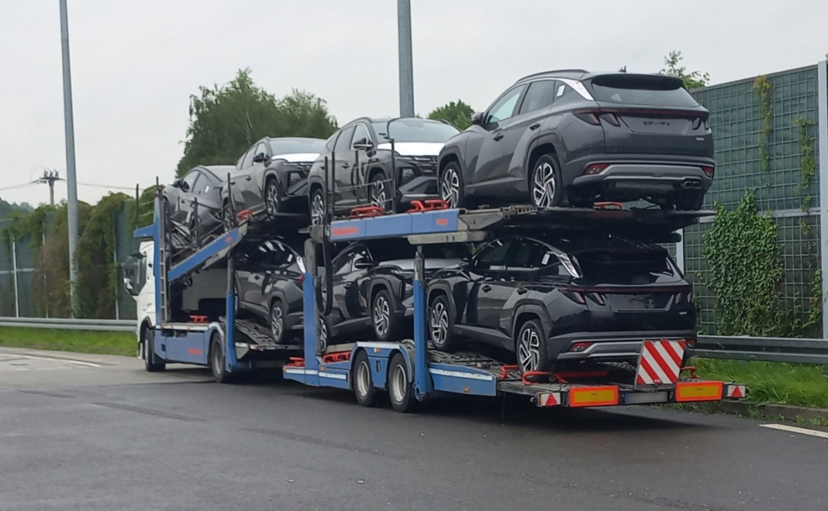 Mandaty dla nieuczciwych kierowców i przewoźników. KAS kontroluje również czas pracy kierowców - Serwis informacyjny z Raciborza - naszraciborz.pl