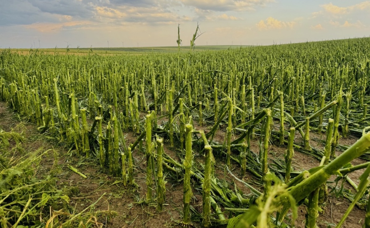 Blisko 140 interwencji po nawałnicy. Najwięcej w Raciborzu - Serwis informacyjny z Raciborza - naszraciborz.pl