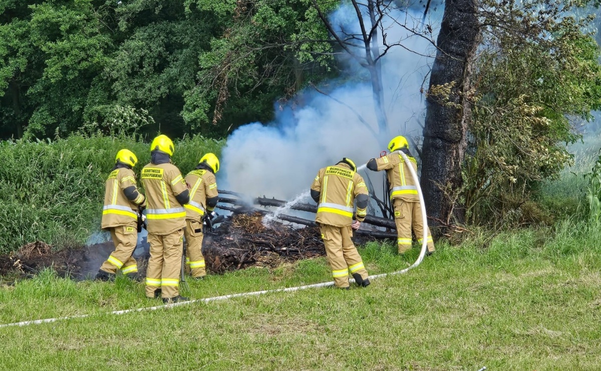 Od pożaru sterty gałęzi zapaliło się drzewo - Serwis informacyjny z Raciborza - naszraciborz.pl