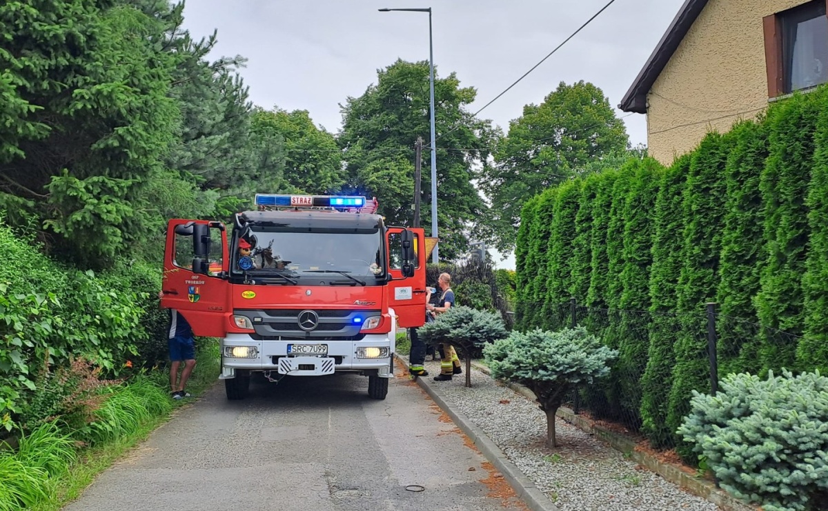 Tuje poszły z dymem w Tworkowie - Serwis informacyjny z Raciborza - naszraciborz.pl