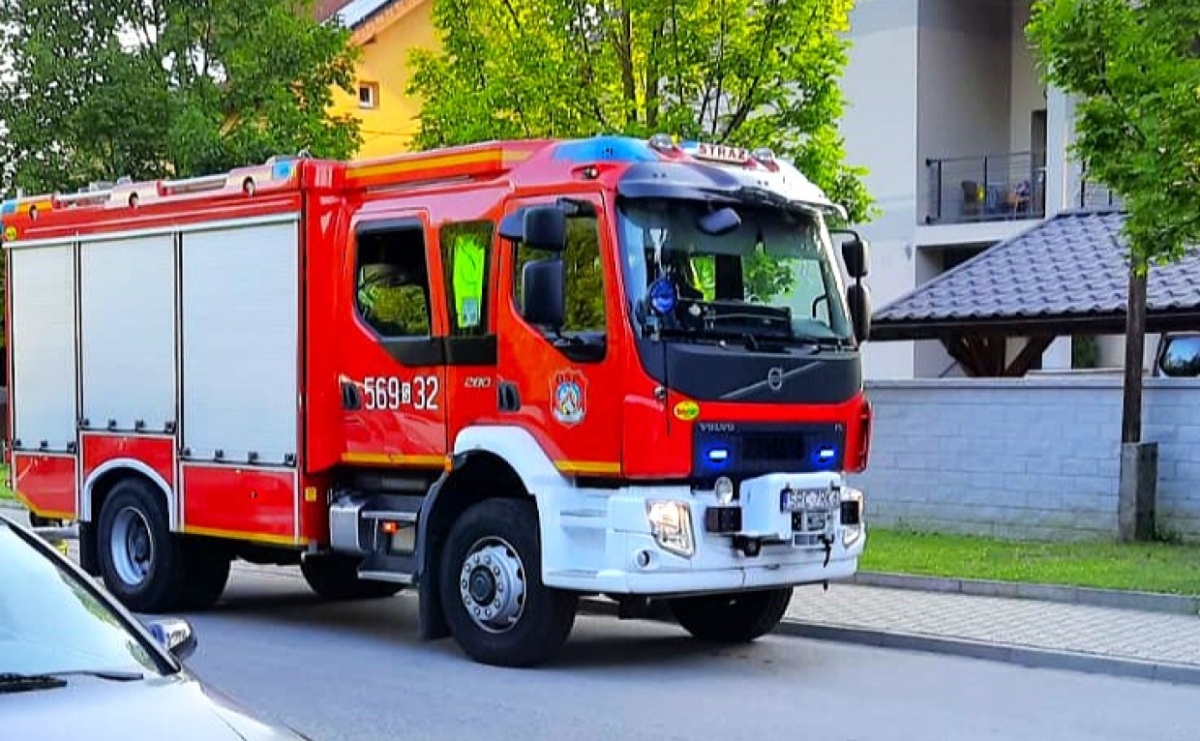 Raport 998. Owady, złamany konar i pożar śmietnika. Wtorek strażaków - Serwis informacyjny z Raciborza - naszraciborz.pl