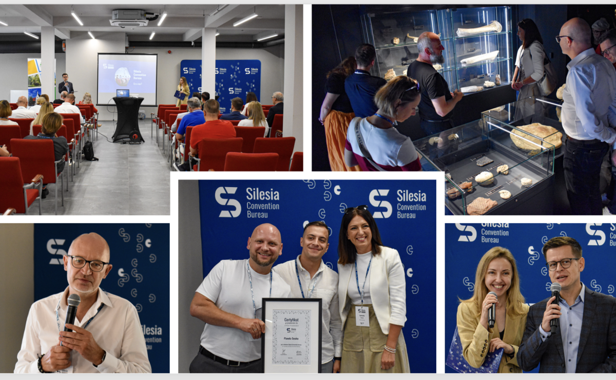 VI Silesia Meeting Day na Zamku Piastowskim w Raciborzu - Serwis informacyjny z Raciborza - naszraciborz.pl