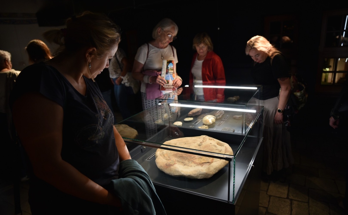 Nocne zwiedzanie zamku w Raciborzu z wejściem do podziemi starej baszty - Serwis informacyjny z Raciborza - naszraciborz.pl