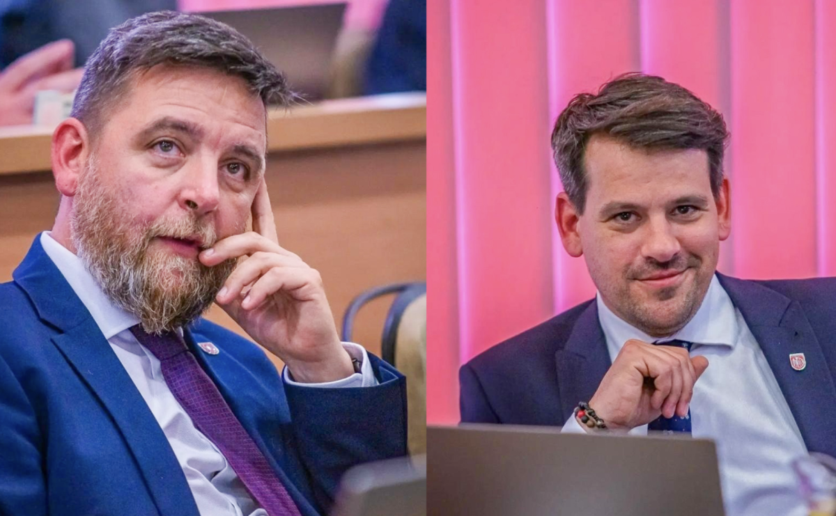 Co zrobić z poszkodowanymi dzikimi zwierzętami w Raciborzu? Miasto współpracuje z Pogotowiem Leśnym, ale czy to wystarczy? - Serwis informacyjny z Raciborza - naszraciborz.pl