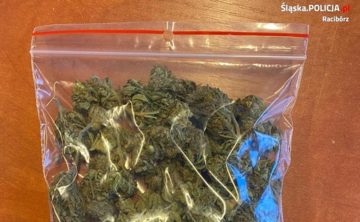 Zatrzymano 21-latka z Raciborza. Miał w mieszkaniu narkotyki - Serwis informacyjny z Raciborza - naszraciborz.pl