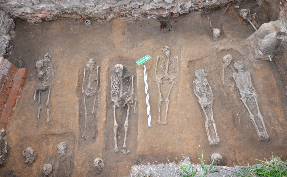 Wystawa plenerowa Zapomniany cmentarz w Raciborzu - Serwis informacyjny z Raciborza - naszraciborz.pl