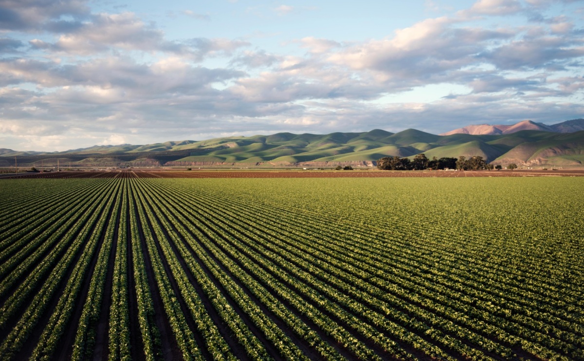 Precyzyjna prognoza pogody dla rolników — z jakich narzędzi korzystać? - Serwis informacyjny z Raciborza - naszraciborz.pl