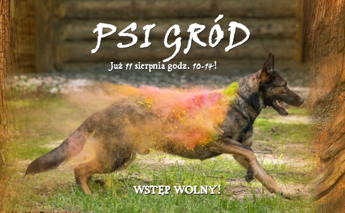 Zaproszenie na PSI GRÓD - Aktywnie i zdrowo z psem! - Serwis informacyjny z Raciborza - naszraciborz.pl