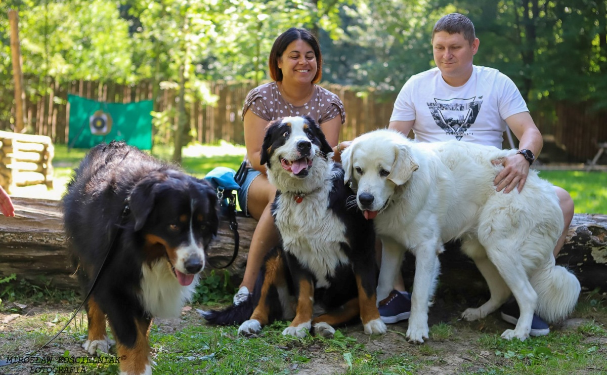 Psi Gród. Miłośnicy czworonogów spotkali się w średniowiecznej scenerii - Serwis informacyjny z Raciborza - naszraciborz.pl