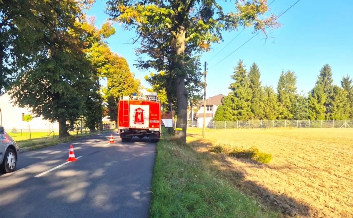 Raport 998. Nadłamany konar zerwał linię energetyczną - Serwis informacyjny z Raciborza - naszraciborz.pl