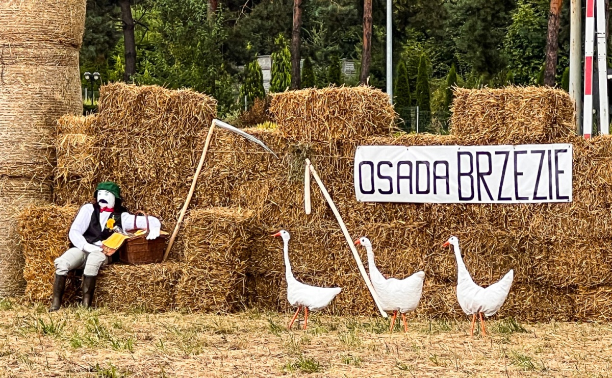 Osada Brzezie ustawiła na wjeździe do Raciborza witacz - Serwis informacyjny z Raciborza - naszraciborz.pl