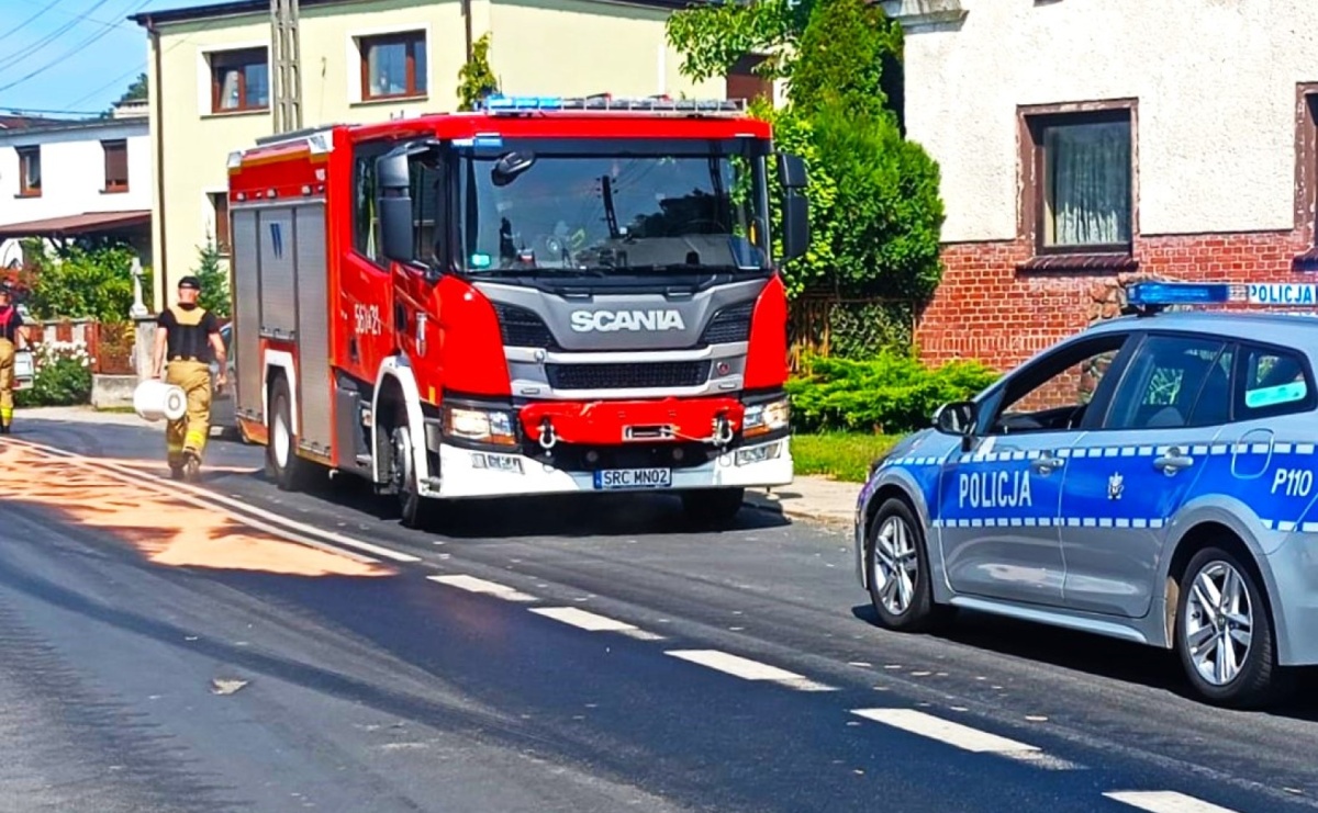 Raport 998. Plama w Wojnowicach, owady w Krzyżanowicach - Serwis informacyjny z Raciborza - naszraciborz.pl