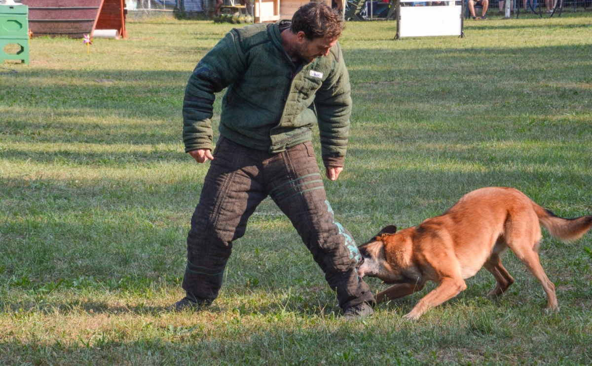 Puchar Narodów Mondioringu 2024: Emocjonujące starty w Babicach! - Serwis informacyjny z Raciborza - naszraciborz.pl