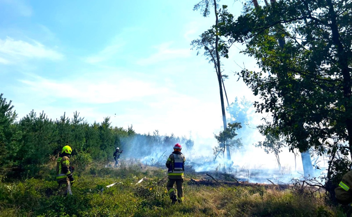 Lasy Państwowe apelują - stop wypalaniu traw! - Serwis informacyjny z Raciborza - naszraciborz.pl