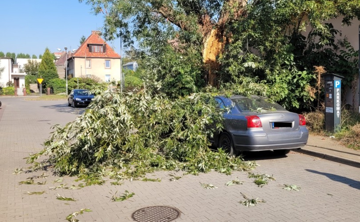 Konar drzewa runął na toyotę przy Opawskiej - Serwis informacyjny z Raciborza - naszraciborz.pl