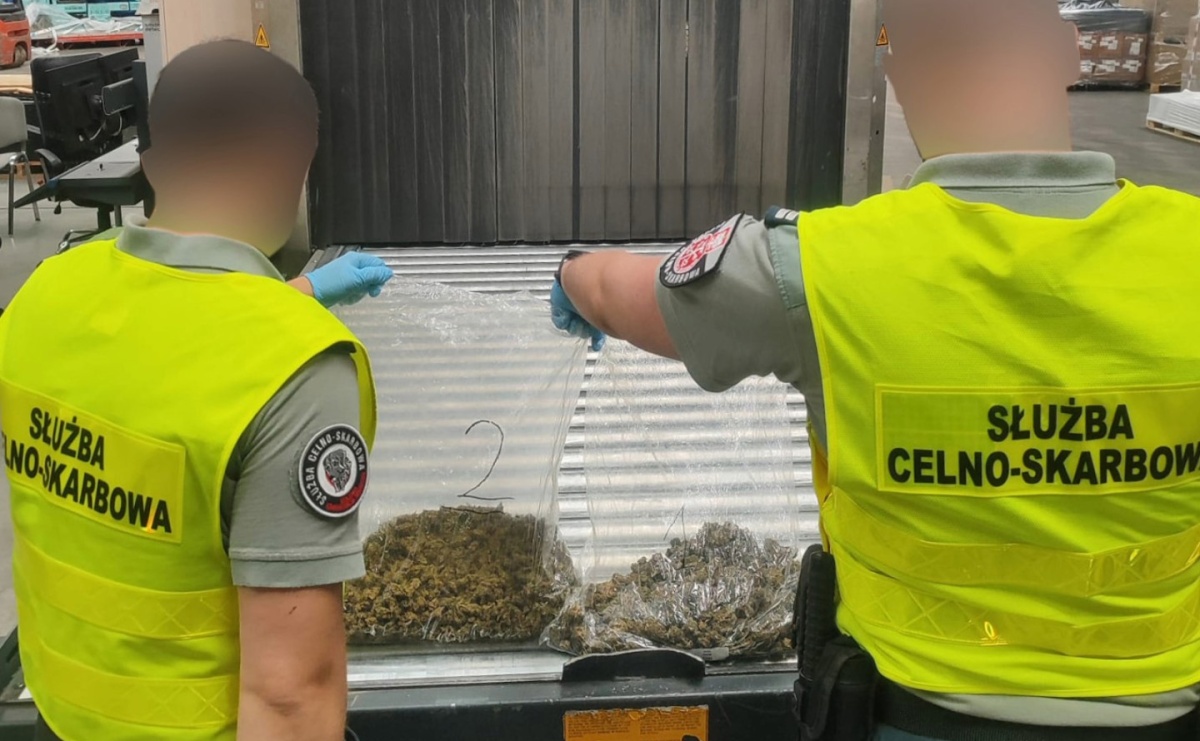 Marihuana w przesyłce z USA. KAS zabezpieczyła ponad pół kilograma narkotyku - Serwis informacyjny z Raciborza - naszraciborz.pl