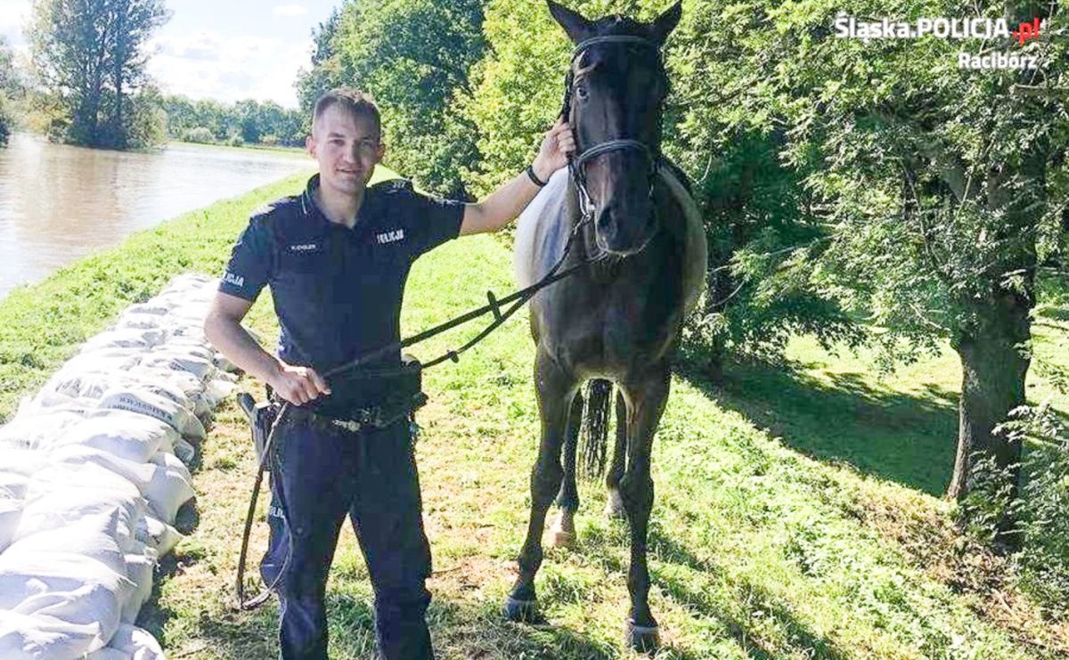 Koń w potrzasku. Policjanci pomogli mu wydostać się na brzeg - Serwis informacyjny z Raciborza - naszraciborz.pl