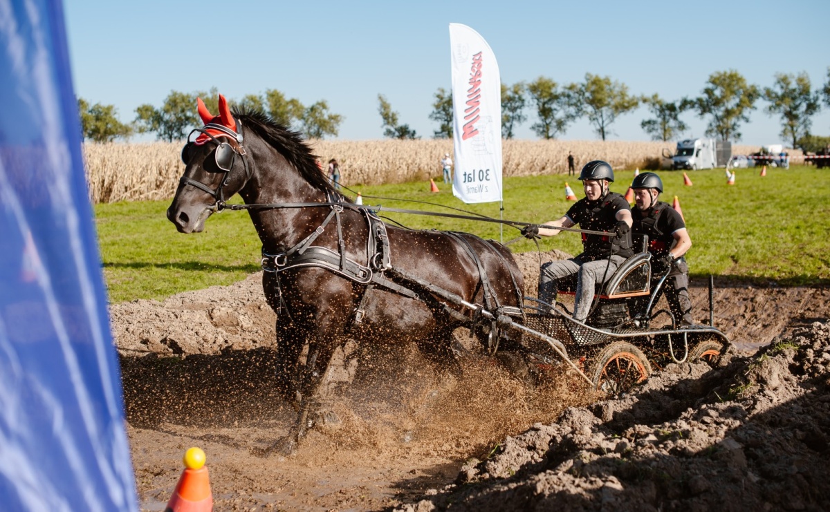 Zręczność w siodle, hobby horse i skoki. Weekend w siodle w Żerdzinach - Serwis informacyjny z Raciborza - naszraciborz.pl