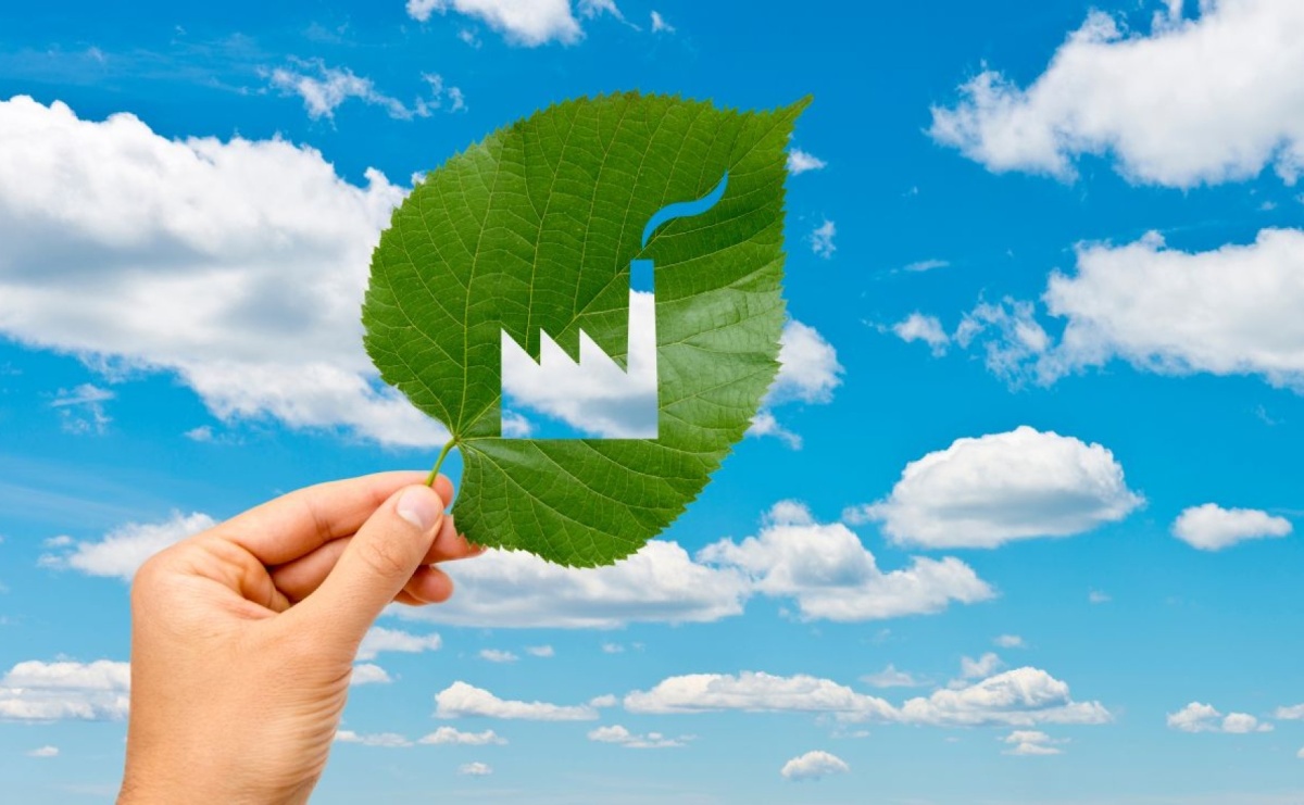 Doradztwo środowiskowe – klucz do zrównoważonego rozwoju i ochrony środowiska - Serwis informacyjny z Raciborza - naszraciborz.pl