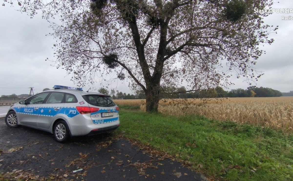 Jesienna aura na drogach - bądźmy ostrożni! - Serwis informacyjny z Raciborza - naszraciborz.pl