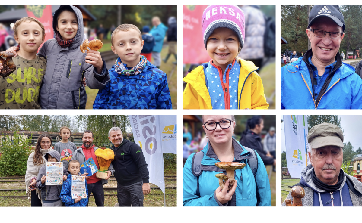 Grzybiarze ziemi raciborskiej poszli na rekord. 250 osób zebrało prawie pół tony grzybów - Serwis informacyjny z Raciborza - naszraciborz.pl