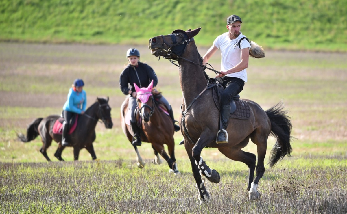 Hubertus na Huzarskiej na bis – nie tylko tradycja, ale i pomoc dla Amelki [FOTO] - Serwis informacyjny z Raciborza - naszraciborz.pl