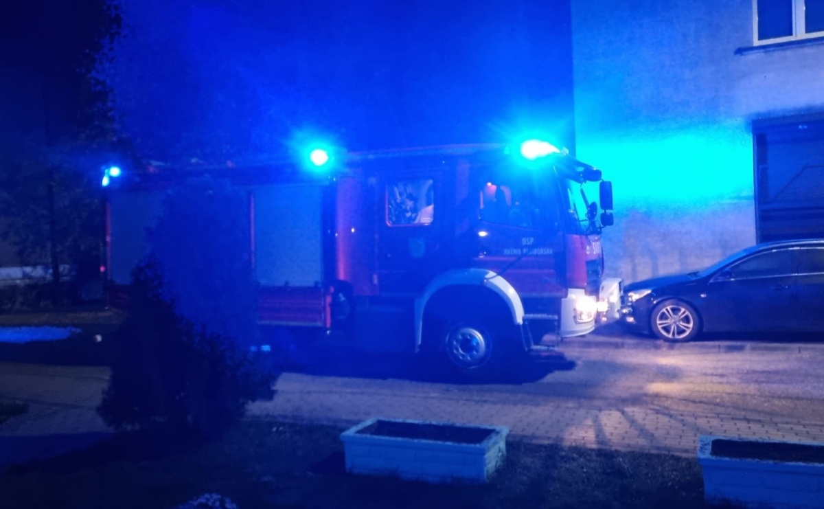 Cztery zastępy w akcji w Kuźni Raciborskiej - Serwis informacyjny z Raciborza - naszraciborz.pl