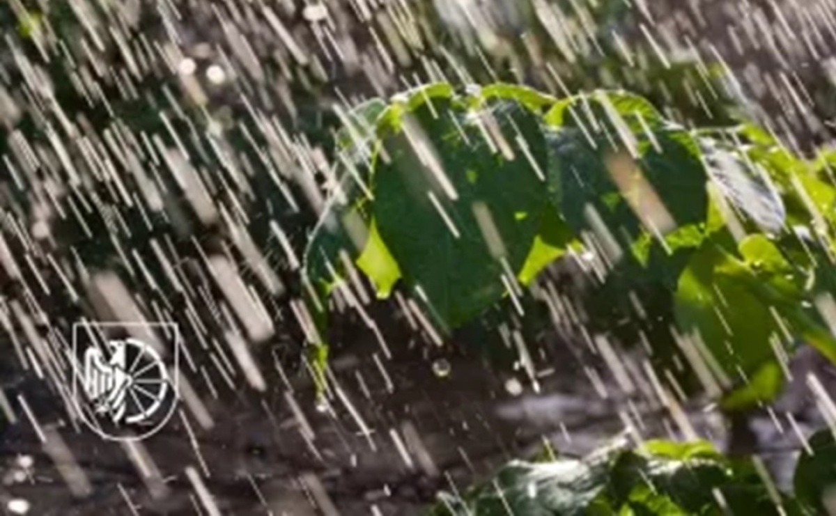 Producenci rolni mogą składać wnioski o oszacowanie szkód - Serwis informacyjny z Raciborza - naszraciborz.pl