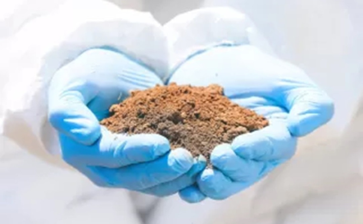 Okręgowa stacja chemiczno-rolnicza w Gliwicach zaprasza do skorzystania z nieodpłatnych analiz gleb - Serwis informacyjny z Raciborza - naszraciborz.pl