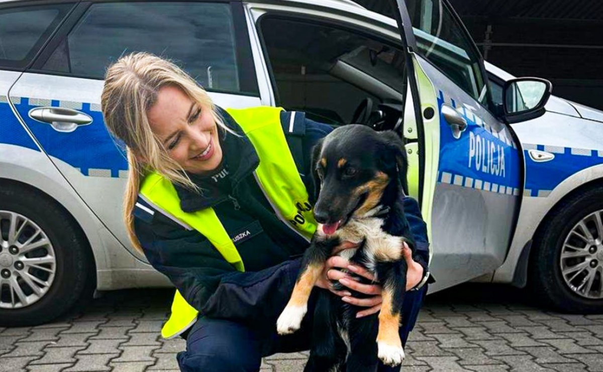 Niecodzienna interwencja raciborskiej drogówki - Serwis informacyjny z Raciborza - naszraciborz.pl