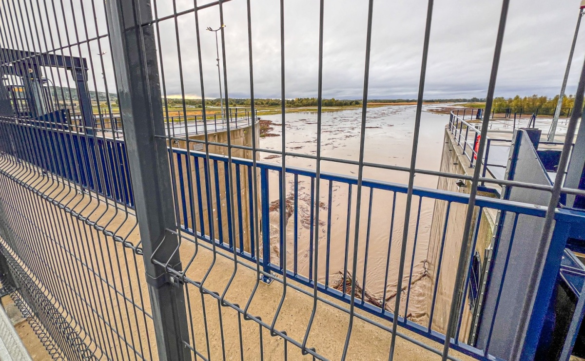 Zakaz wstępu na teren zbiornika Racibórz Dolny i obostrzenia dla hodowców – briefing wojewody w sprawie ptasiej grypy - Serwis informacyjny z Raciborza - naszraciborz.pl