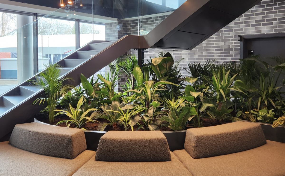 Rośliny w biurze – korzyści dla zdrowia i produktywności pracowników - Serwis informacyjny z Raciborza - naszraciborz.pl