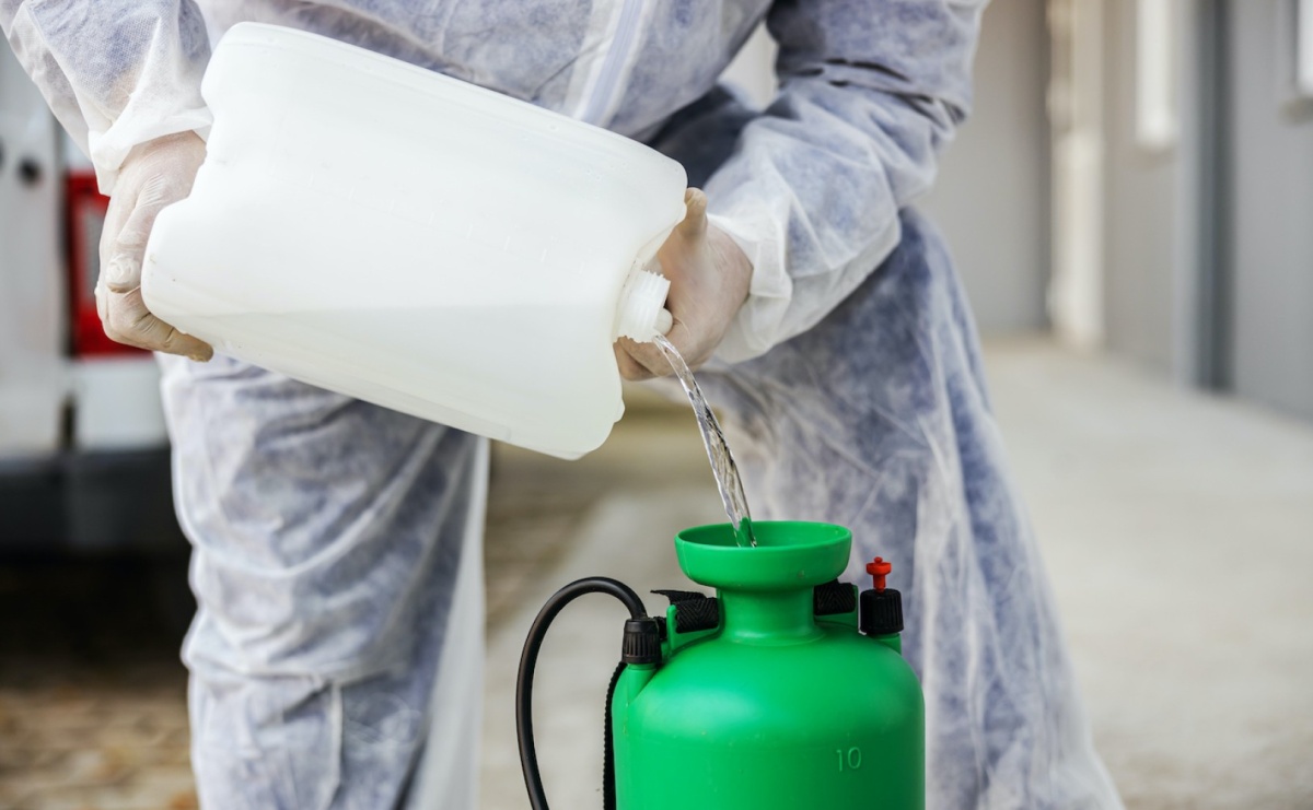 Usługi DDD: o wiele więcej, niż zwalczanie szkodników ogólnodostępnymi preparatami! - Serwis informacyjny z Raciborza - naszraciborz.pl