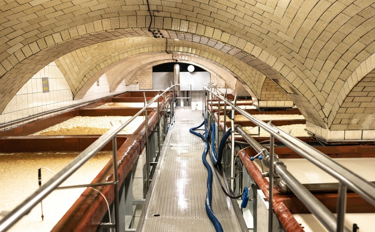 Raciborskie piwa triumfują na European Beer Star 2024! - Serwis informacyjny z Raciborza - naszraciborz.pl