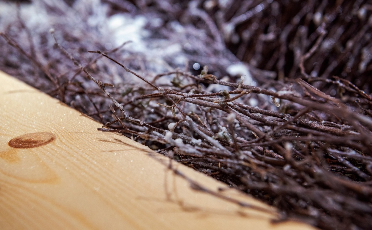 Tężnia solankowa w Wieliczce – naturalne zdrowie i relaks - Serwis informacyjny z Raciborza - naszraciborz.pl