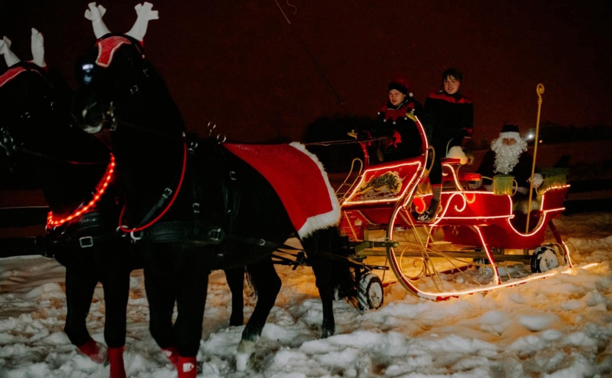 Św. Mikołaj w saniach przyjedzie na zamek - Serwis informacyjny z Raciborza - naszraciborz.pl