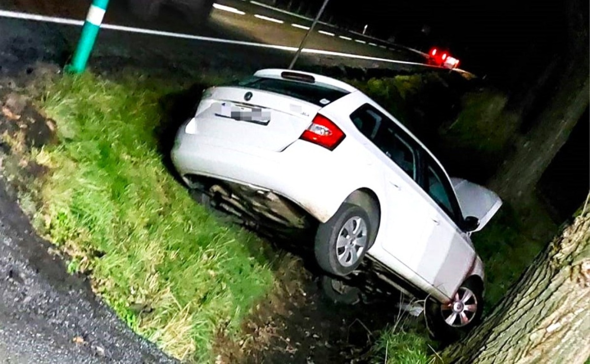 83-latek wjechał do rowu w Żerdzinach - Serwis informacyjny z Raciborza - naszraciborz.pl