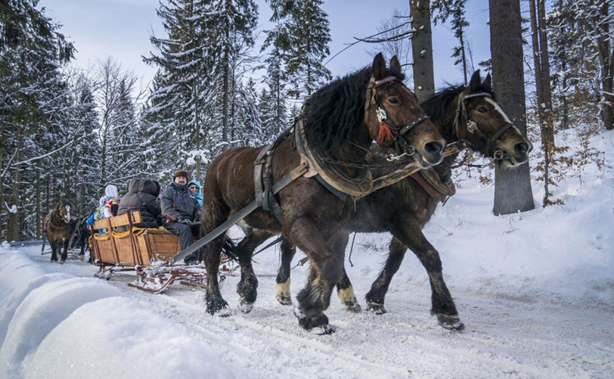 Kulig Wisła-Czarne – wyjątkowa zimowa przygoda z PTTK Racibórz - Serwis informacyjny z Raciborza - naszraciborz.pl
