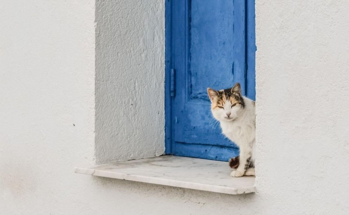 Ile kosztuje życie na Cyprze? - Serwis informacyjny z Raciborza - naszraciborz.pl